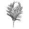 Light Garden 700095 - GREY PAMPAS GRASS FOAM FLOWER, 45