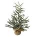 2' Potted Iced Cedar Pine Medium Artificial Christmas Tree, Unlit - 2 Foot
