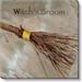 Darren Gygi Home Collection Witch's Broom Giclee by Darren Gygi - Wrapped Canvas Painting Canvas | 5 H x 5 W x 1 D in | Wayfair 153-Z-0505