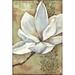 Red Barrel Studio® Magnolia Majesty II Canvas in White | 36 H x 24 W x 1.25 D in | Wayfair 1CE5CCFB0E6F4C72B292426467E7EDF4