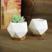 Corrigan Studio® Danyea Ceramic Pot Planter Set Ceramic | 3.54 H x 3.54 W x 3.11 D in | Wayfair 8C631C88AB194095AEBBC97D539A711B