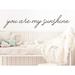 Trinx You Are My Sunshine | Room Wall Decal Vinyl in Brown | 6 H x 30 W in | Wayfair 390CC9424FA842709C388D987B2ABB7B