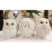 Loon Peak® 3 Piece Carder Fat Baby Owls Figurine Set Resin in Blue/White | 3.75 H x 3.25 W x 3.25 D in | Wayfair E6D29377B9174DDBA047CAA93D78F9C1