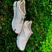 Michael Kors Shoes | Brand New Michael Kors Shoes | Color: Cream | Size: 8.5