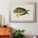 Rosecliff Heights Tropical Fish Collection I Premium Framed Print - Ready To Hang Paper, in Black/Green | 22.5 H x 30.5 W x 1 D in | Wayfair