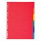 EXACOMPTA Kartonregister »Nature Future« 6-teilig blanko A4 farbig braun, 22.5x29.7 cm