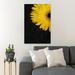 Gracie Oaks Yellow Sunflower In Black Background - 1 Piece Rectangle Graphic Art Print On Wrapped Canvas in Black/Yellow | Wayfair