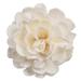 Vickerman 686379 - 1-3" Assorted Camellia Sola Head 24/bg (H7SFL044) Dried and Preserved Flowers