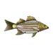 Regal Art & Gift 13185 - Fish Wall Decor - Striped Bass Wall Decor Figurines