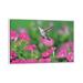 East Urban Home Ruby-Throated Hummingbird Female in Flight Feeding, Hill Country, Texas | 32 H x 48 W x 1.5 D in | Wayfair