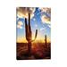 East Urban Home Sunset Saguaro National Park East V by Susanne Kremer - Wrapped Canvas Photograph Canvas | 12 H x 8 W x 0.75 D in | Wayfair