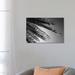 East Urban Home Black California Series - Palm by Philippe Hugonnard - Wrapped Canvas Photograph Print Canvas in Black/White | Wayfair