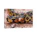 East Urban Home Eastern Fox Snake by Brian Wolf - Wrapped Canvas Photograph Canvas | 18 H x 26 W x 1.5 D in | Wayfair