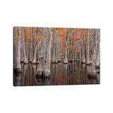 East Urban Home USA, George Smith State Park, Georgia. Fall Cypress Trees by Joanne Wells - Wrapped Canvas Photograph Canvas in Green | Wayfair