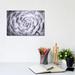 East Urban Home Succulent by Michelee Scott - Wrapped Canvas Photograph Canvas in Black/White | 8 H x 12 W x 0.75 D in | Wayfair