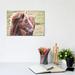 East Urban Home Icelandic Pony by Michelee Scott - Wrapped Canvas Photograph Canvas | 8 H x 12 W x 0.75 D in | Wayfair