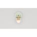 Rosdorf Park Daimion Wall Sconce - Clear Globe Glass/Metal in Green | 9 H x 6 W x 7.5 D in | Wayfair 732C840FBAEE4A7EBC98A1E37496FAD2