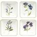 Certified International Fresh Herbs 6" Canape/Luncheon Plates, Set of 4 - 6" x 6" x 0.75"