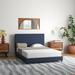 Mercury Row® Pucklechurch Upholstered Low Profile Platform Bed Metal in Blue | 40 H x 62 W x 84 D in | Wayfair 5FC36C5E7A1D4405B007BD97DACCC1B9