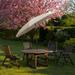 FLAME&SHADE 11 ft Market Patio Umbrella with Fiberglass Rib Tips