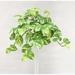 Primrue Real Touch Marble Pothos Hanging Bush | 31 H x 22 W x 4 D in | Wayfair DE217952C86D4D32BB6DFFDAC34B8881