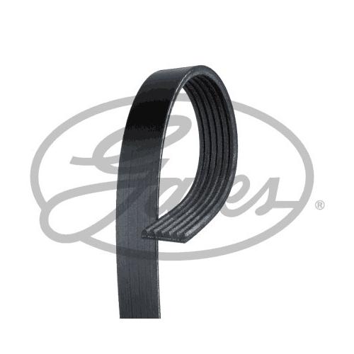 GATES Keilrippenriemen Micro-V® Stretch Fit® schwarz für FORD AM5Q6C301DA 1138524 1750290 6PK1029SF