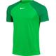 Nike Dri-fit Academy T-Shirt Green Spark/Lucky Green/White XXL