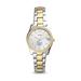 Women's Fossil Silver Franklin & Marshall Diplomats Scarlette Mini Two-Tone Stainless Steel Watch