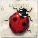 Darren Gygi Home Collection Ladybug Giclee Wall Art Canvas in Black/Red | 5 H x 5 W x 1 D in | Wayfair 185-Z-0505
