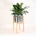 Upshining Live Plant Peace Lily w/ Mid Century Modern Ceramic Planter Pot 10" Black Marble w/ Wood Stands Natural in Brown | Wayfair 6PL-PCLRbmS