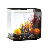 FLOW 30 Black Aquarium with Standard Light, 8 Gallon