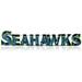 Imperial Seattle Seahawks 8.75'' x 57.75'' Lighted Recycled Metal Sign