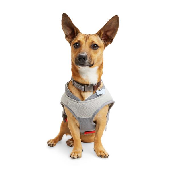 reddy-grey-red-cooling-dog-vest,-x-large,-gray---red/