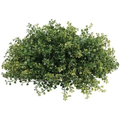 Pennington Boxwood Half Sphere