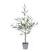 Primrue Artificial Olive Tree in Pot Plastic | 36 H x 12 W x 12 D in | Wayfair EA52303836484FC891ED0F63F85FF0B9