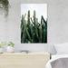 MentionedYou Green Cactus Plants Under White Sky During Daytime - 1 Piece Rectangle Graphic Art Print On Wrapped Canvas in Brown | Wayfair