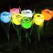 Solarek 6 Piece Tulip Lamp LED Outdoor Lights | 18 H x 2.68 W x 2.68 D in | Wayfair WayFairGPCT729