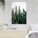 MentionedYou Green Cactus Plants Under Sky During Daytime - 1 Piece Rectangle Graphic Art Print On Wrapped Canvas in White | Wayfair