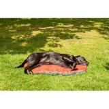 FurHaven Packable Stuff Sack Travel Pet Bed Polyester in Orange | 2 H x 39 W x 30 D in | Wayfair 38467684