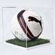 Football Display Case - 10mm White Grass Effect