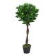 90cm (3ft) Twist Natural Trunk Artificial Topiary Bay Laurel Ball Tree