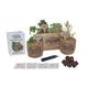 Bonsai Seed Kit, Grow Your Own Bonsai Tree Starter Kit with Gift Box | Gardening Gifts for Women, Men, Him, Her, Mum, Dad & Grandad