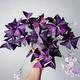 50 x oxalis triangularis purpurea bulbs. .Purple Butterfly Plant Easy Houseplant Garden Plant Purple Foliage - Very Easy to Grow