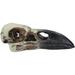 Trinx Alyzea Ebros Crow Skull Talisman Pendant Figurine Resin in White | 1 H x 2.25 W x 1.25 D in | Wayfair 560E1D6D3DF54CA98E5D4C97E50E4773