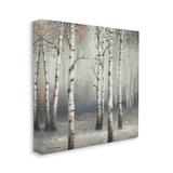 Stupell Industries Birch Trees Misty Haze Gray Forest Scene - Graphic Art Canvas, Cotton in White | 36 H x 36 W x 1.5 D in | Wayfair