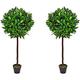 PAIR of Artificial Bay Laurel Trees - 4ft high Tree with real wood trunk and natural leaf