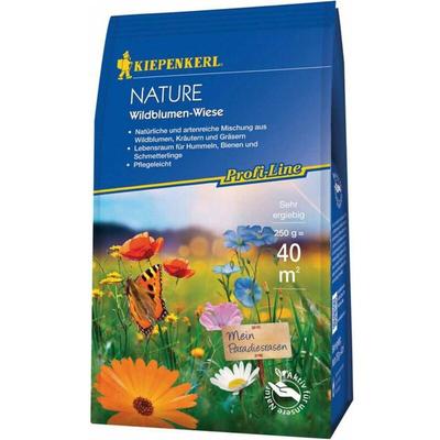 Kiepenkerl - Wildblumen-Wiese 250 gr. Profi-Line Nature