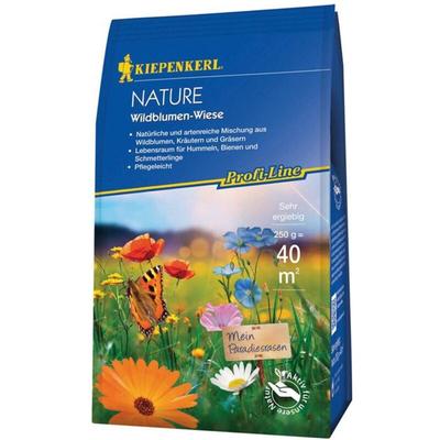 Kiepenkerl - Wildblumen-Wiese 250 gr. Profi-Line Nature