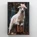 Gracie Oaks White Goat Standing On Brown en Fence During Daytime - 1 Piece Rectangle Graphic Art Print On Wrapped Canvas in Black/White | Wayfair
