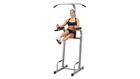 Body Solid PowerLine Power Tower Vertical Knee Raise Station